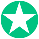 Trustpilot Review Star